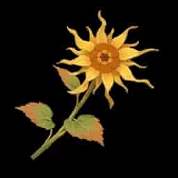 Luminous Calendula