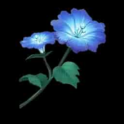 Sliverglow Bloom